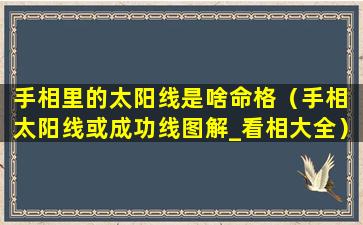 手相里的太阳线是啥命格（手相 太阳线或成功线图解_看相大全）